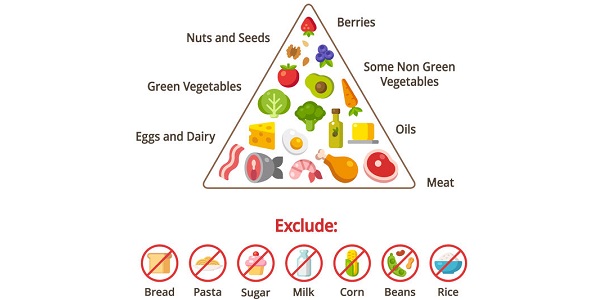 keto food pyramid chart. nutrition and diet infographics. vector illustration.