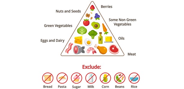 What Is The Ketogenic Diet?